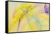 Abstraction 10730-Rica Belna-Framed Stretched Canvas