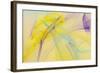 Abstraction 10730-Rica Belna-Framed Giclee Print