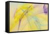 Abstraction 10730-Rica Belna-Framed Stretched Canvas