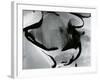 Abstraction, Compressed Car, 1978-Brett Weston-Framed Photographic Print