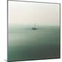 Abstraction Marine-Viviane Fedieu Daniel-Mounted Premium Photographic Print