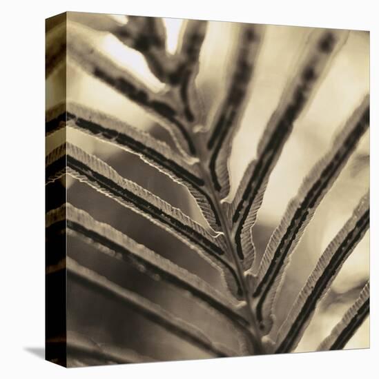 Abstraction-Canales-Stretched Canvas