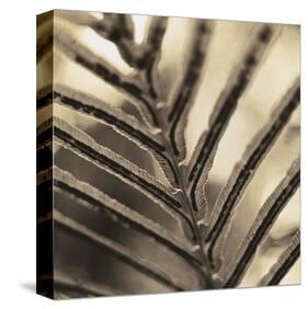 Abstraction-Canales-Stretched Canvas