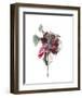 Abstractions of the Heart-Kiran Patel-Framed Art Print