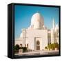 Abu Dhabi Sheikh Zayed White Mosque. UAE-Tatyana Vyc-Framed Stretched Canvas