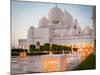 Abu Dhabi Sheikh Zayed White Mosque. UAE-Tatyana Vyc-Mounted Photographic Print