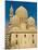 Abu El-Abbas Mosque, Alexandria, Egypt, North Africa, Africa-null-Mounted Photographic Print