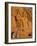 Abu Simbel, Egypt, North Africa-Sylvain Grandadam-Framed Photographic Print