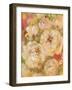 Abundance 1-Vera Hills-Framed Art Print