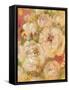 Abundance 1-Vera Hills-Framed Stretched Canvas