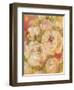 Abundance 1-Vera Hills-Framed Art Print