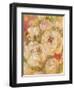 Abundance 1-Vera Hills-Framed Art Print