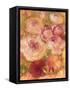 Abundance 2-Vera Hills-Framed Stretched Canvas