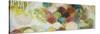 Abundance I-Heather Robinson-Stretched Canvas