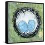 Abundance in a Nest-null-Framed Stretched Canvas