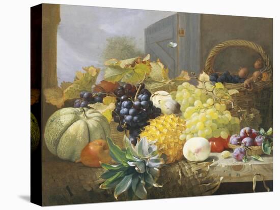 Abundance of Fruit-Eloise Harriet Stannard-Stretched Canvas