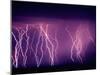 Abundance of Lightning Strikes near Tucson-null-Mounted Premium Photographic Print