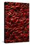 Abundance of Red Chilies-Randy Faris-Stretched Canvas