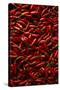 Abundance of Red Chilies-Randy Faris-Stretched Canvas