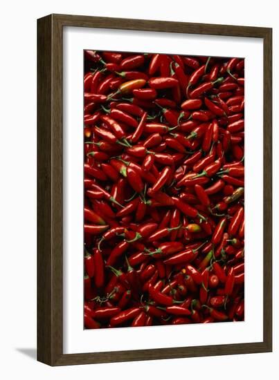 Abundance of Red Chilies-Randy Faris-Framed Photographic Print