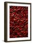 Abundance of Red Chilies-Randy Faris-Framed Photographic Print