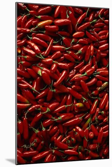 Abundance of Red Chilies-Randy Faris-Mounted Photographic Print