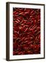 Abundance of Red Chilies-Randy Faris-Framed Photographic Print