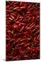 Abundance of Red Chilies-Randy Faris-Mounted Photographic Print