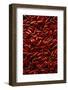 Abundance of Red Chilies-Randy Faris-Framed Photographic Print