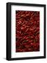 Abundance of Red Chilies-Randy Faris-Framed Photographic Print