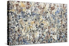 Abundance of Wildflowers-Tim O'toole-Stretched Canvas