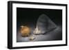 Abundance-Christophe Verot-Framed Giclee Print