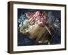 Abundance-Skarlett-Framed Giclee Print