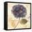 Abundant Hydrangea I-Albena Hristova-Framed Stretched Canvas