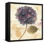 Abundant Hydrangea I-Albena Hristova-Framed Stretched Canvas