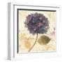 Abundant Hydrangea I-Albena Hristova-Framed Art Print