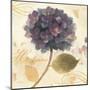 Abundant Hydrangea I-Albena Hristova-Mounted Art Print