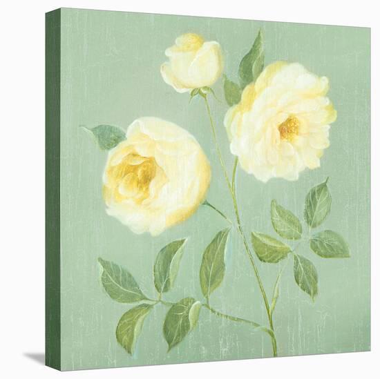 Abundant Rose I-Mimi Roberts-Stretched Canvas