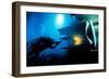 Abyss De James Cameron, 1989-null-Framed Photo