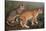 Abyssinian and Indian-W. Luker-Stretched Canvas