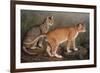 Abyssinian and Indian-W. Luker-Framed Premium Giclee Print