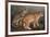 Abyssinian and Indian-W. Luker-Framed Premium Giclee Print