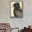 Abyssinian Bateleur Eagle-null-Giclee Print displayed on a wall