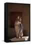 Abyssinian Blue Cat on Pedestal-DLILLC-Framed Stretched Canvas