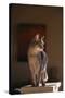 Abyssinian Blue Cat on Pedestal-DLILLC-Stretched Canvas