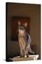 Abyssinian Blue Cat on Pedestal-DLILLC-Stretched Canvas