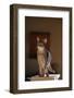 Abyssinian Blue Cat on Pedestal-DLILLC-Framed Photographic Print