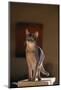 Abyssinian Blue Cat on Pedestal-DLILLC-Mounted Photographic Print