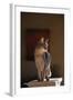 Abyssinian Blue Cat on Pedestal-DLILLC-Framed Photographic Print