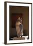 Abyssinian Blue Cat on Pedestal-DLILLC-Framed Photographic Print